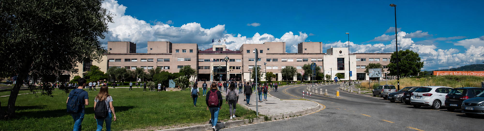 Offerta Formativa di Ateneo