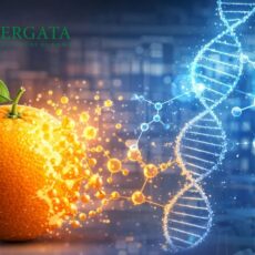 Lotta ai tumori, Fondazione Airc sostiene la ricerca oncologica d’eccellenza di Roma Tor Vergata