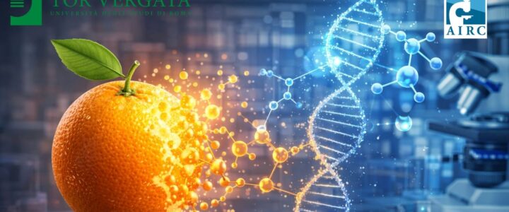 Lotta ai tumori, Fondazione Airc sostiene la ricerca oncologica d’eccellenza di Roma Tor Vergata